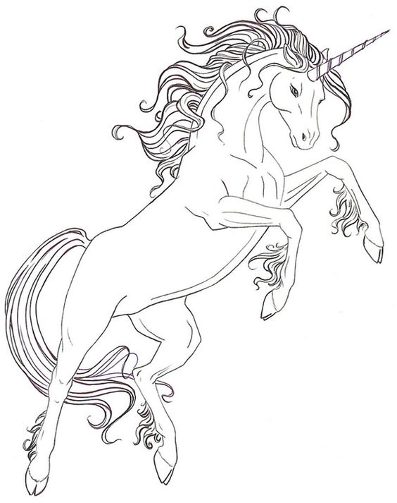 Craft Your UNICORN Dreams  Dive Into Coloring Adventure Unicorn With Mermaid Tail Coloring Page   32 Mermaid Tail Coloring Page