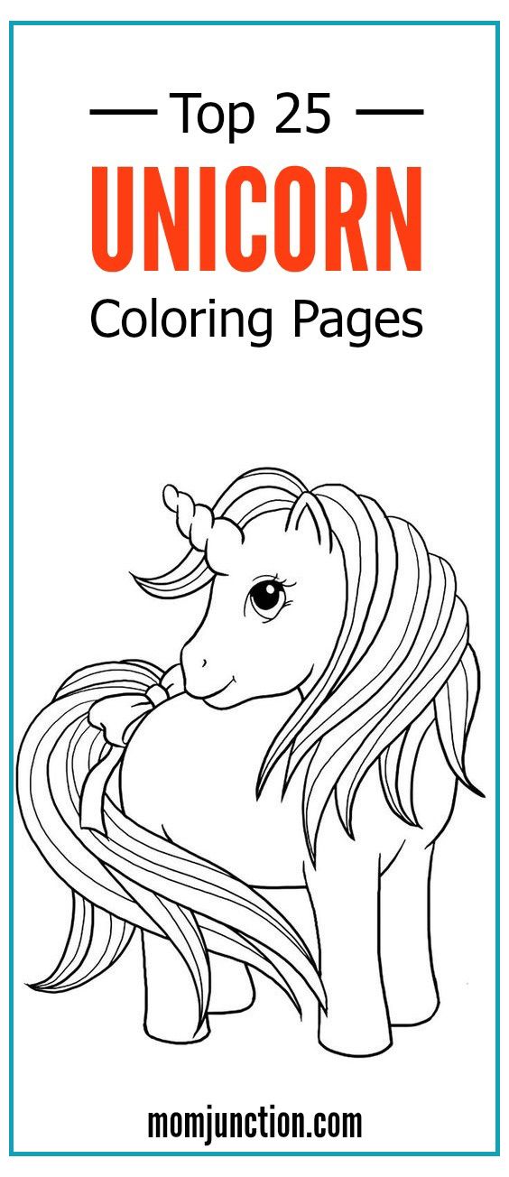 my little pony articles  pony articles  mlp articles
