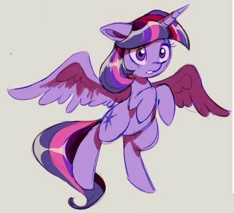 My Little Pony Twilight Fly Picture