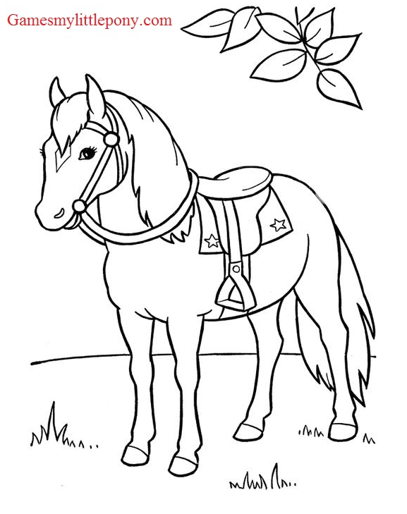 Horse Coloring On The Field Coloring Page