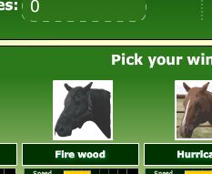 Horse Bet Racing Game