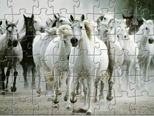 White Horse Jigsaw Game